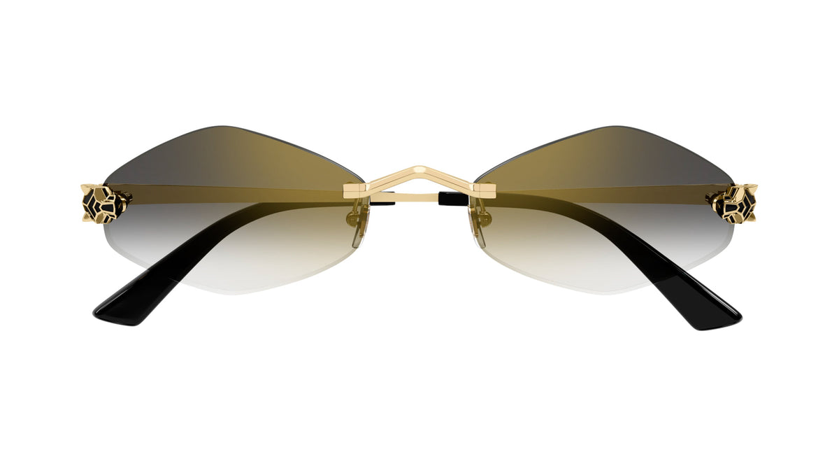 Cartier CT0433S