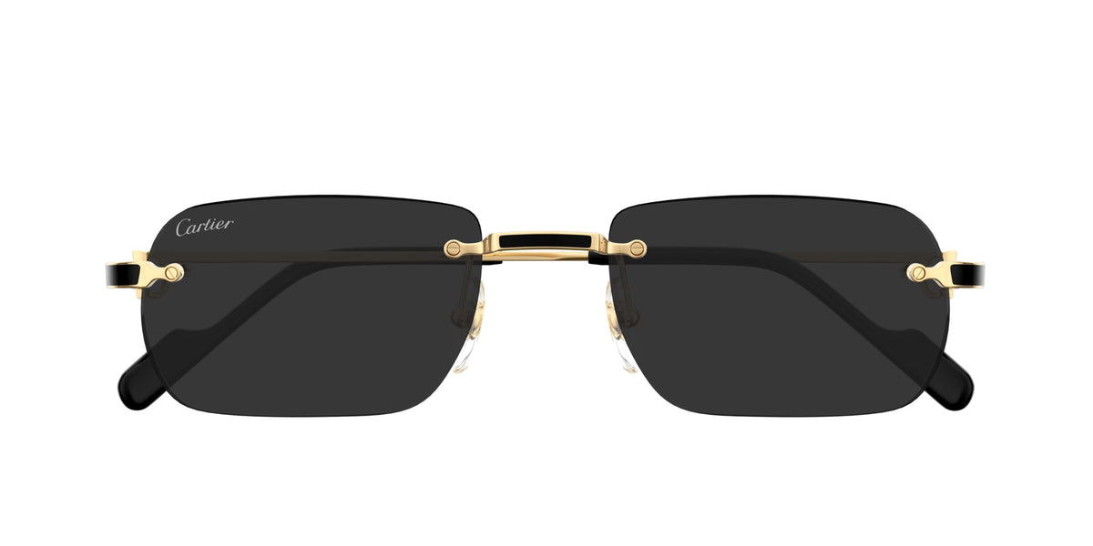 Cartier CT0498S