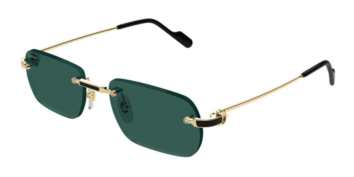 Cartier CT0498S