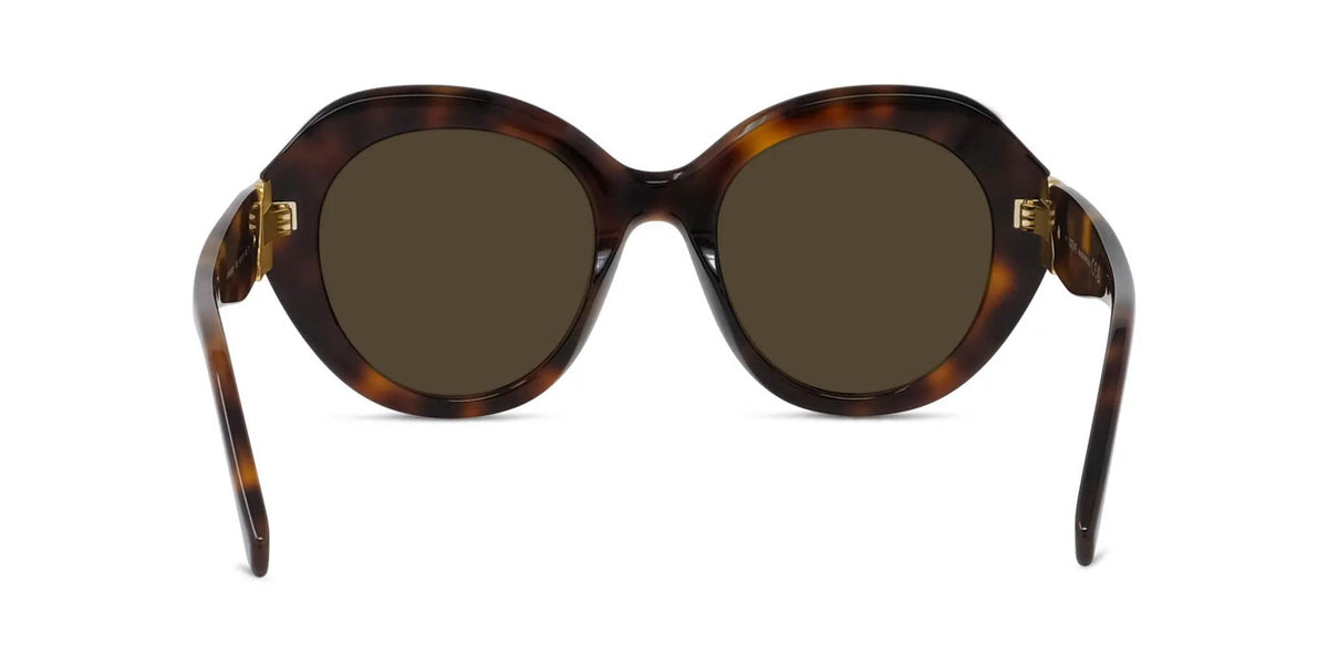 Loewe Coil LW40203I